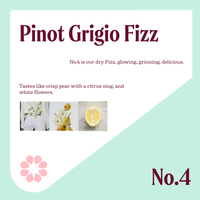 Pinot Grigio Fizz