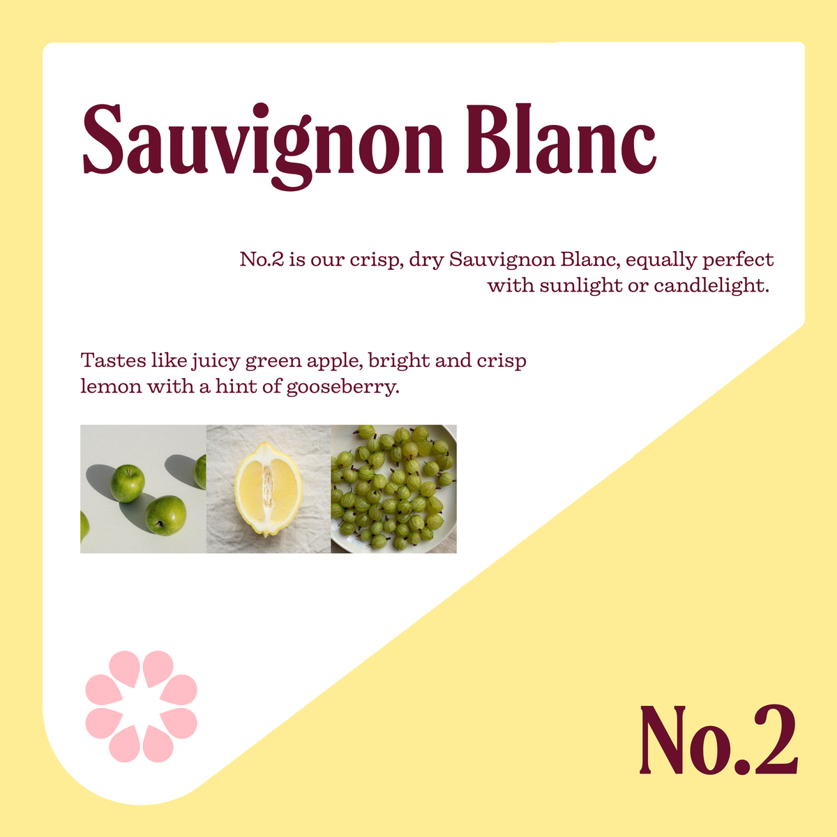 Sauvignon Blanc x6
